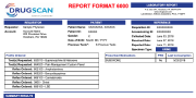 report methamphetamine PDF
